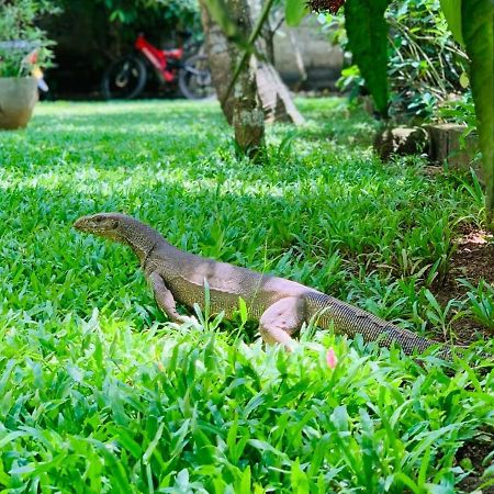 Villa Olga ウナワトゥナ エクステリア 写真