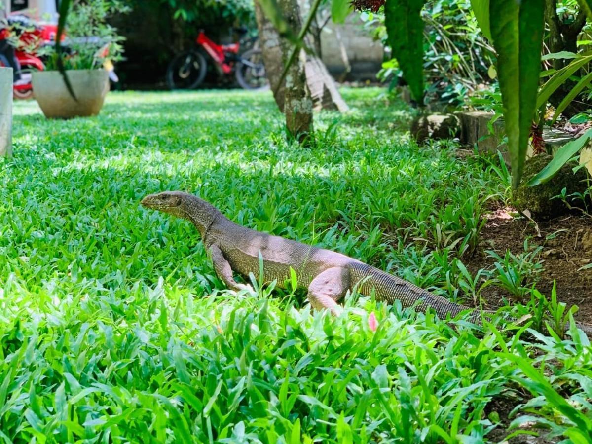 Villa Olga ウナワトゥナ エクステリア 写真