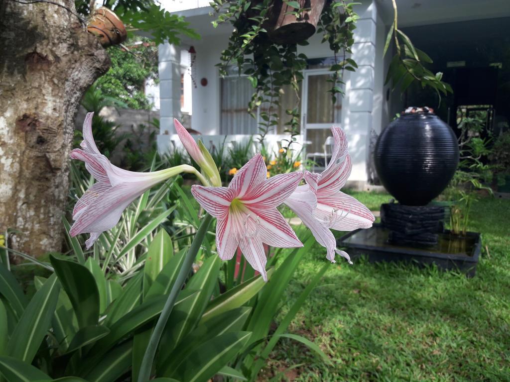 Villa Olga ウナワトゥナ エクステリア 写真
