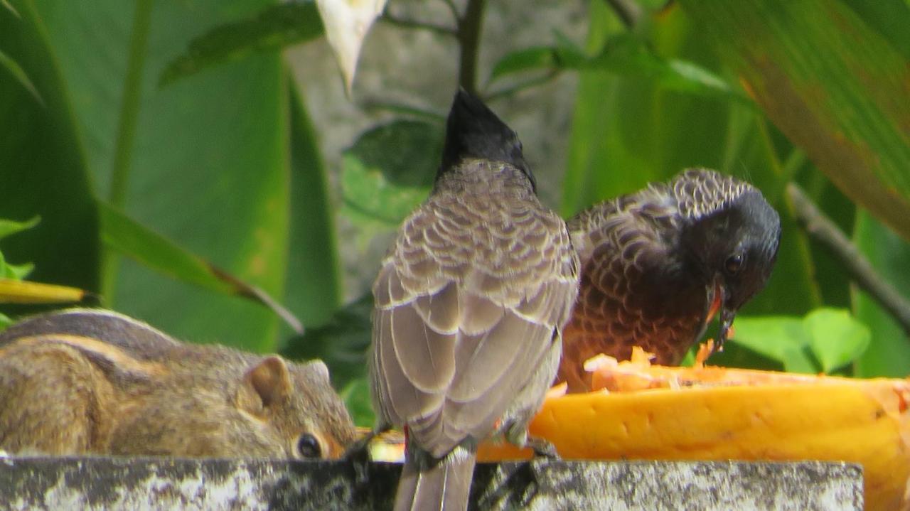 Villa Olga ウナワトゥナ エクステリア 写真