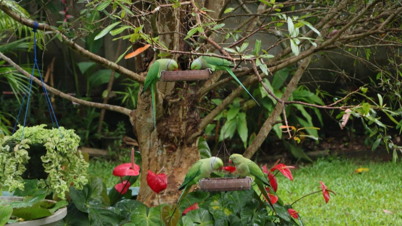 Villa Olga ウナワトゥナ エクステリア 写真
