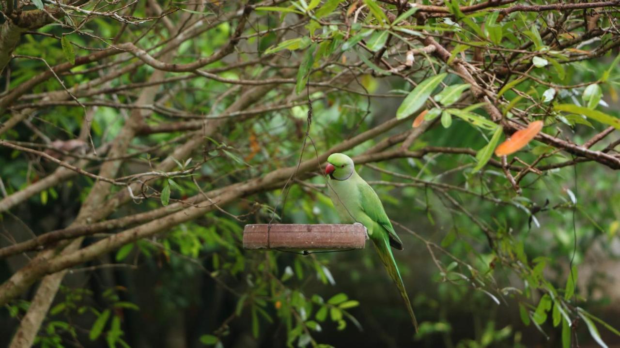 Villa Olga ウナワトゥナ エクステリア 写真