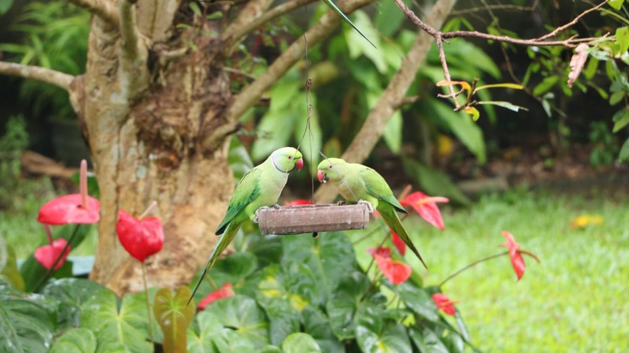 Villa Olga ウナワトゥナ エクステリア 写真